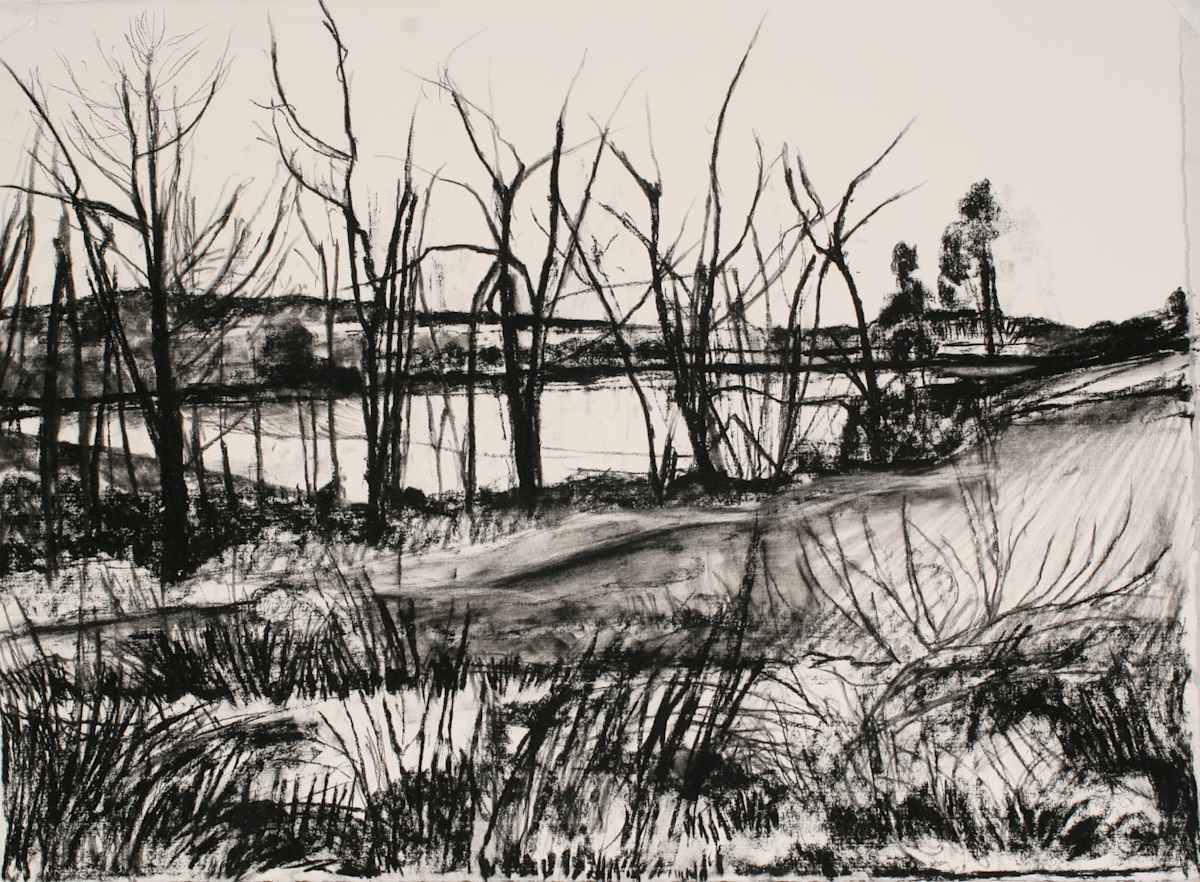 Reflecting Pond by Tom Goldenberg Studio LLC, Image 1.