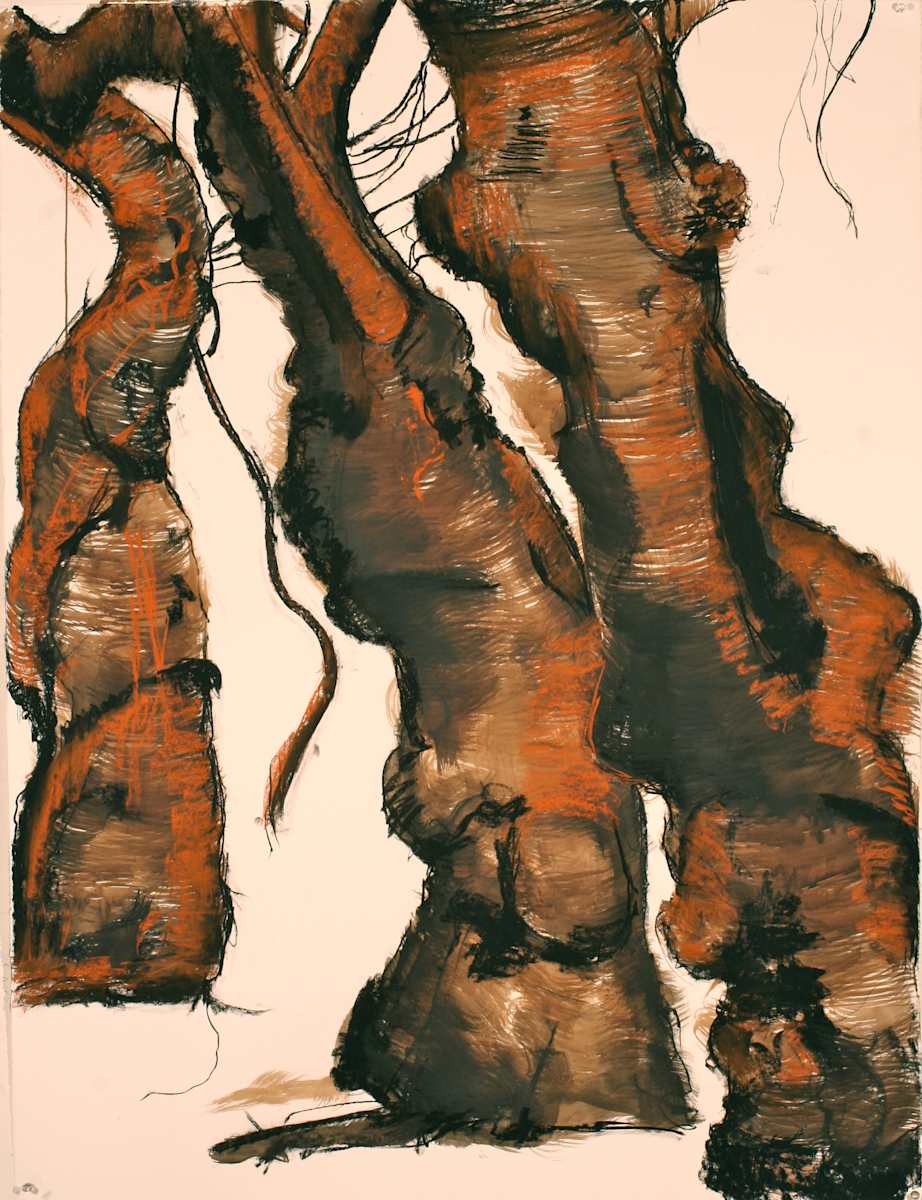 Central Park Cherry Series #1 (Cherry1stretch) by Tom Goldenberg Studio LLC, Image 1.