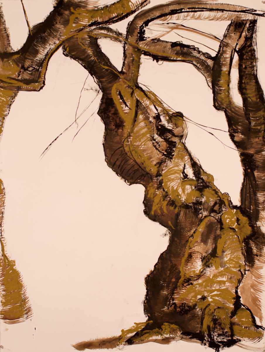 Central Park Cherry Series #6 (Kakhi) by Tom Goldenberg Studio LLC, Image 1.