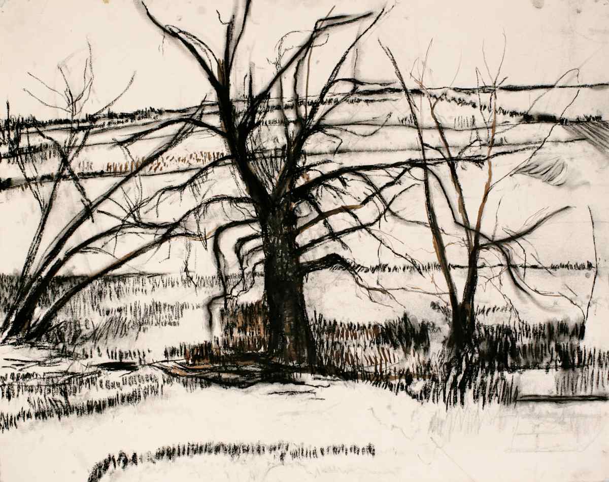 Hill and Three Trees by Tom Goldenberg Studio LLC, Image 1.