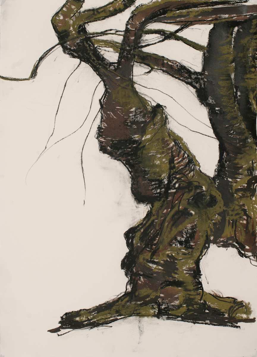 Central Park Cherry Series #8 (Violet Cherry) by Tom Goldenberg Studio LLC 