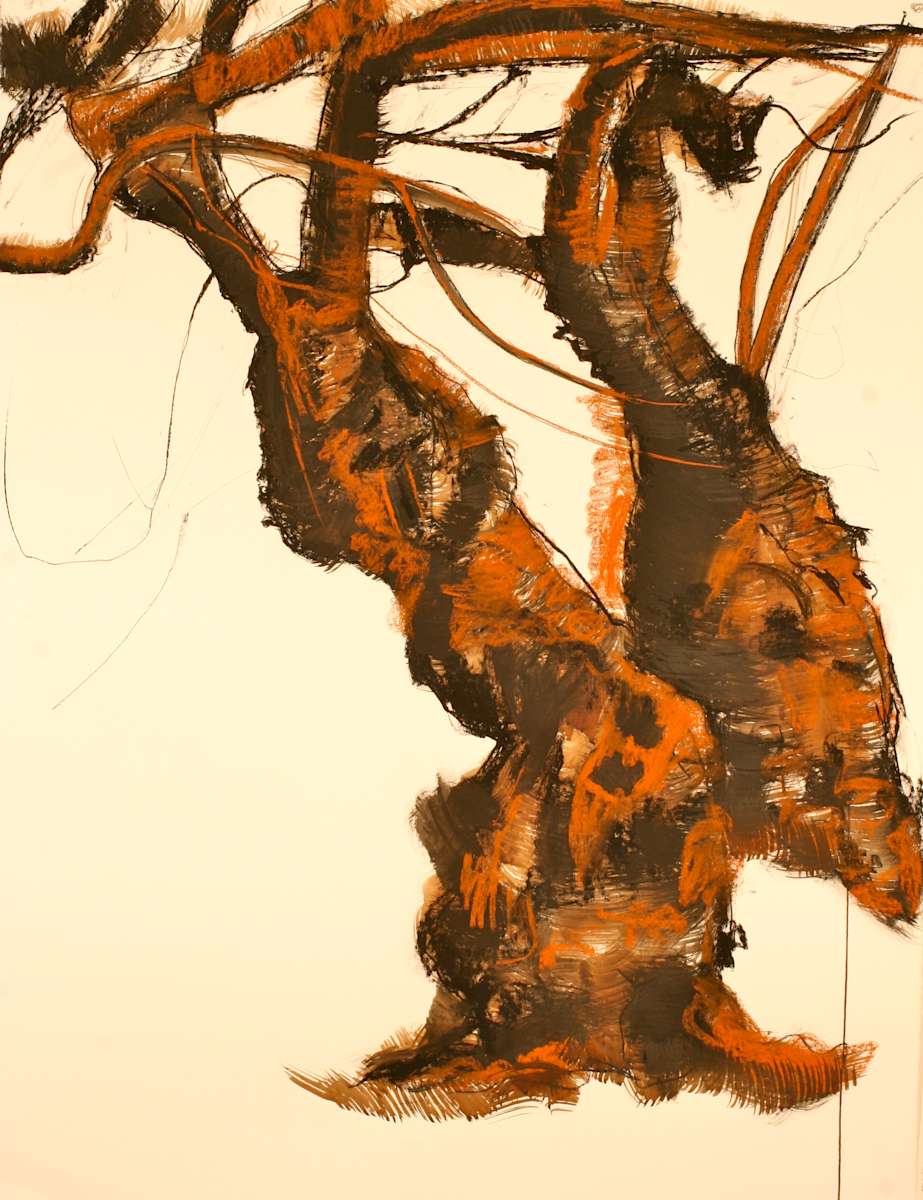 Central Park Cherry Series #4 (Fighter) by Tom Goldenberg Studio LLC 