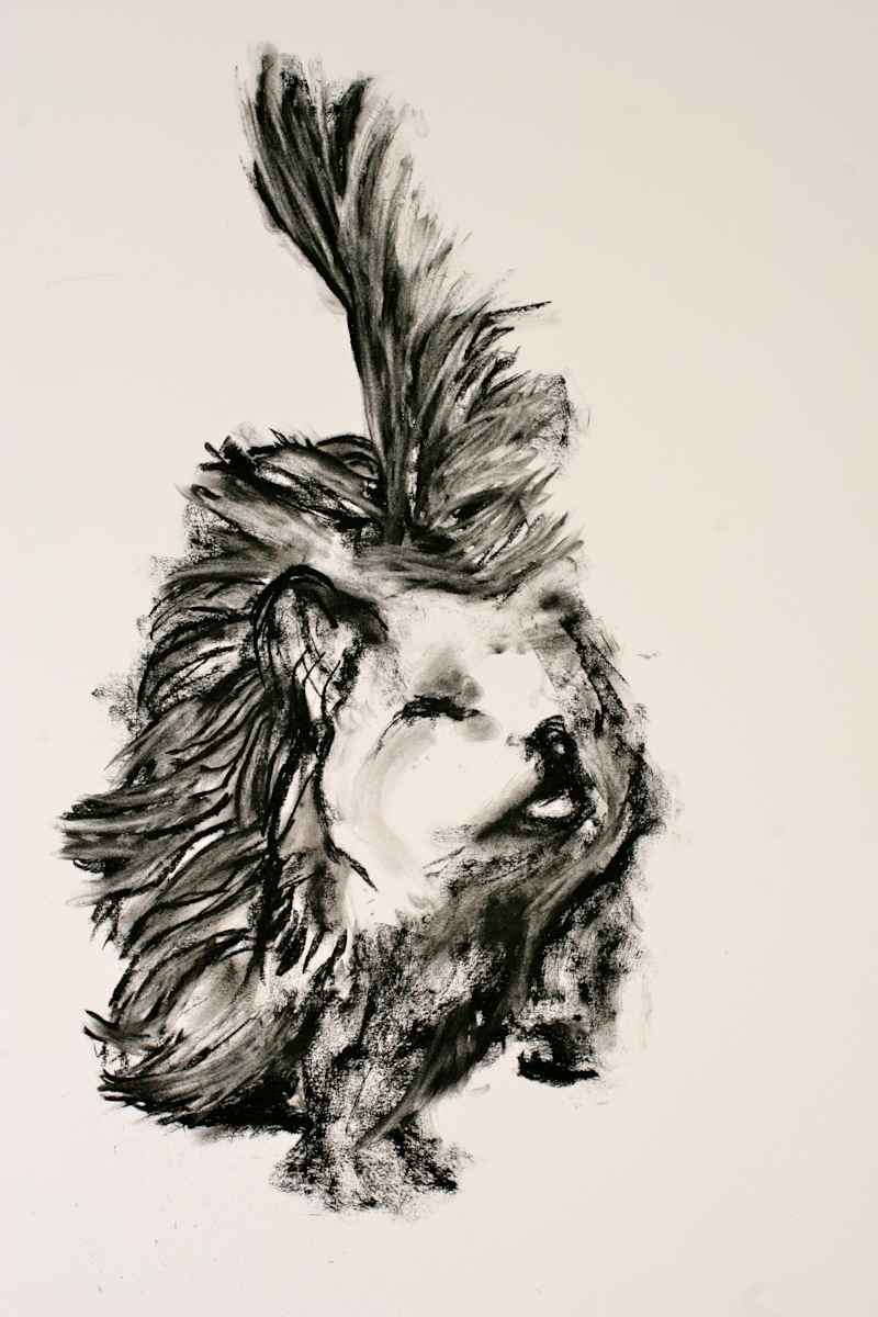 Dickens by Tom Goldenberg Studio LLC 