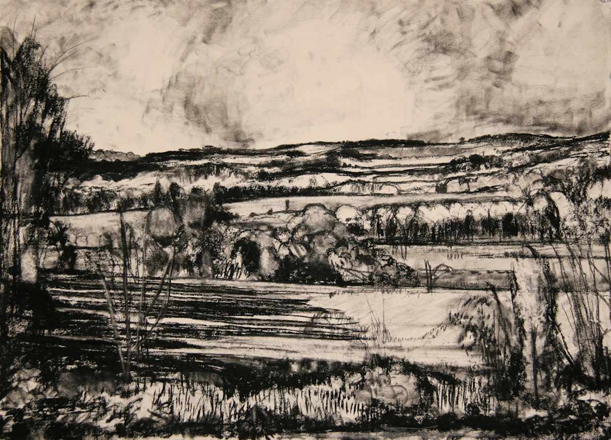 Drawing for D by Tom Goldenberg Studio LLC, Image 1.