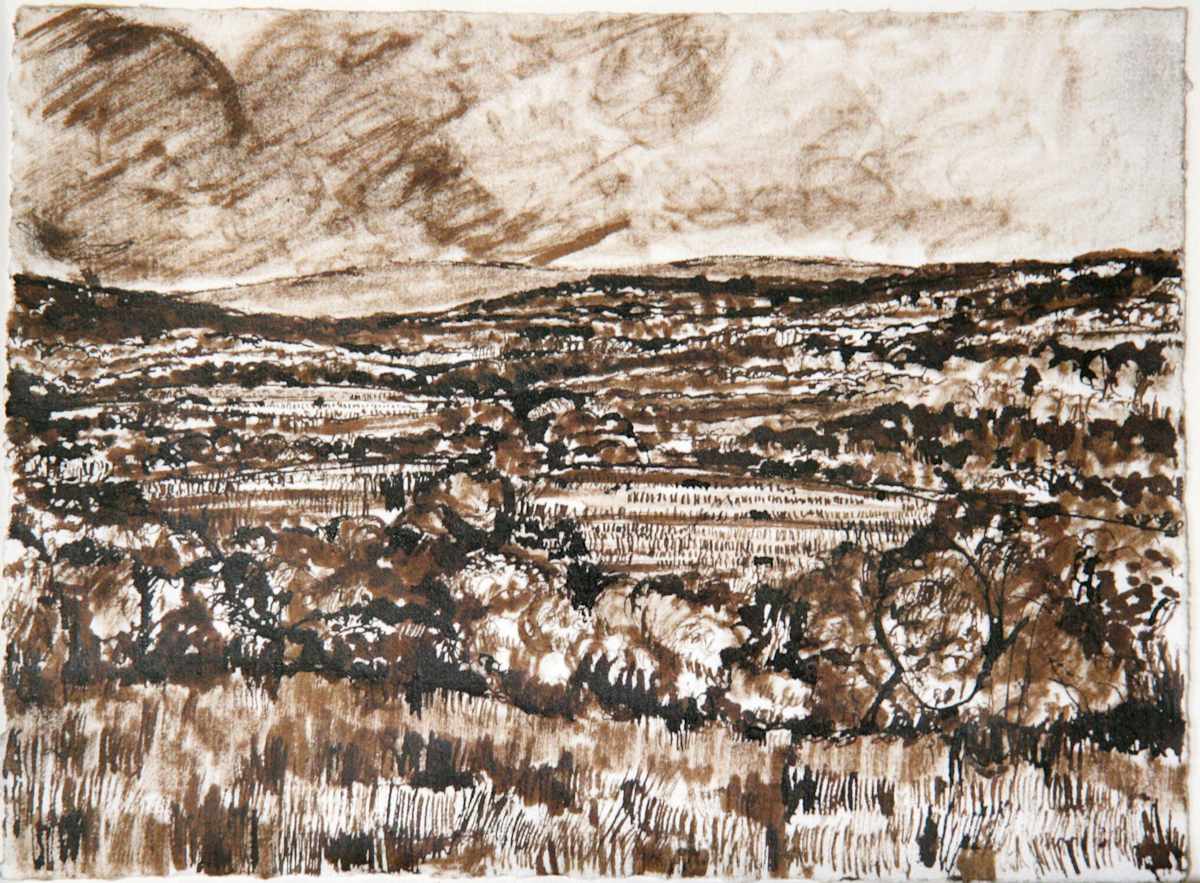 Ink 2 by Tom Goldenberg Studio LLC 