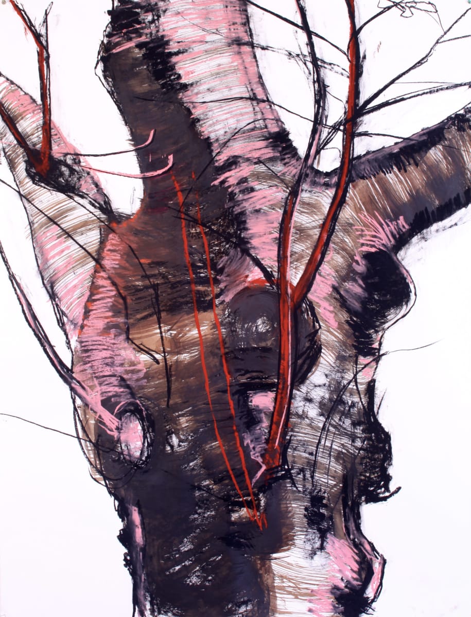 Pink Sycamore by Tom Goldenberg Studio LLC 