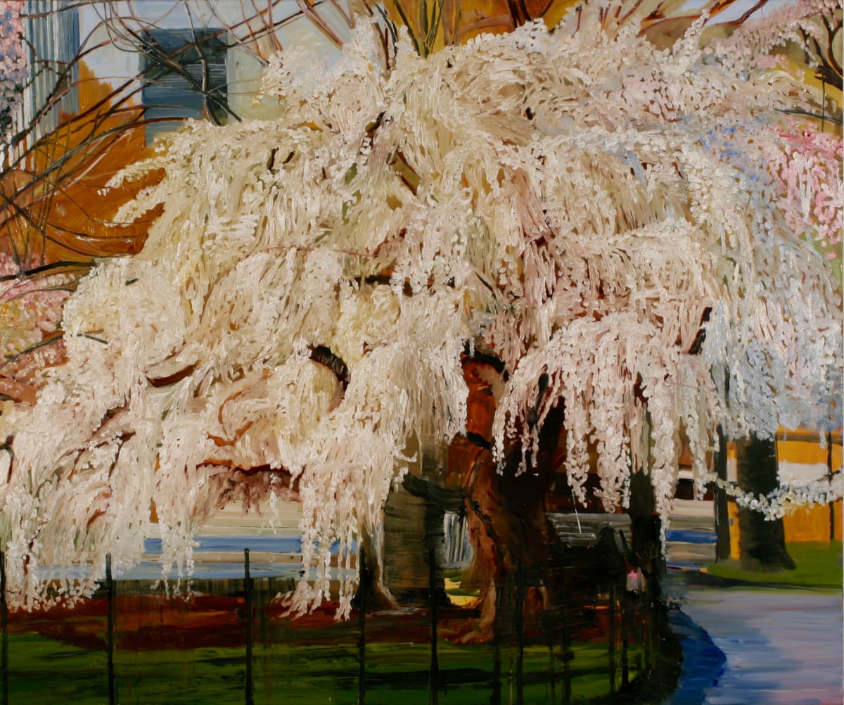 Weeping Cherry  by Tom Goldenberg Studio LLC 
