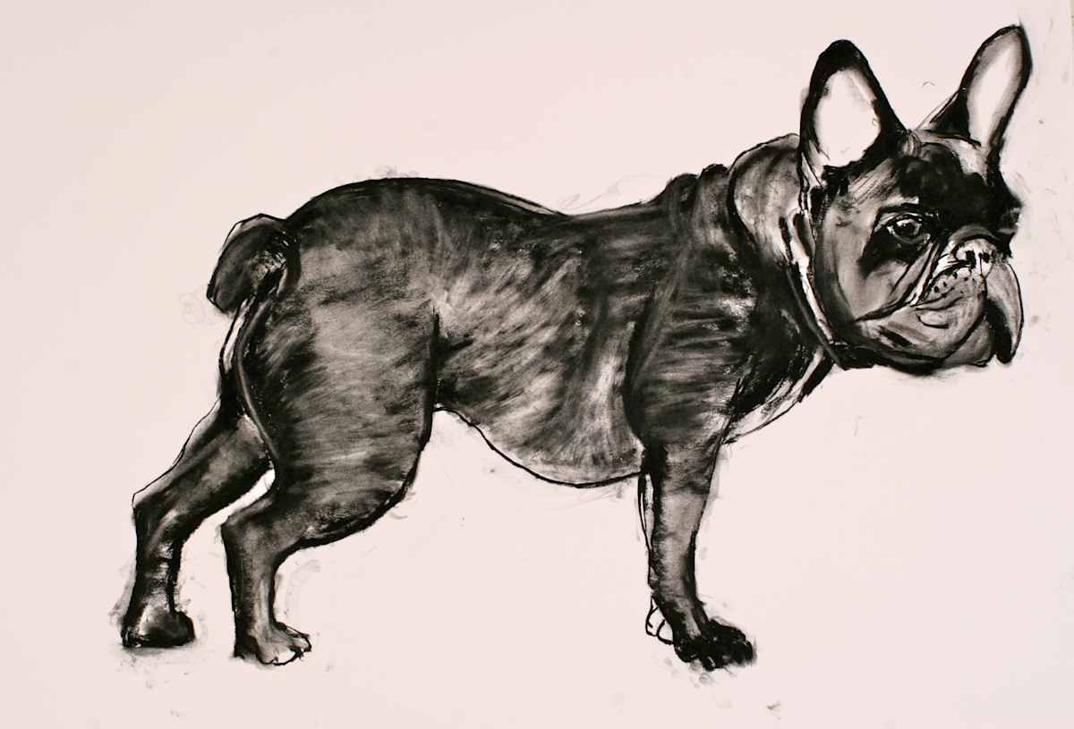 Bull Dog by Tom Goldenberg Studio LLC 