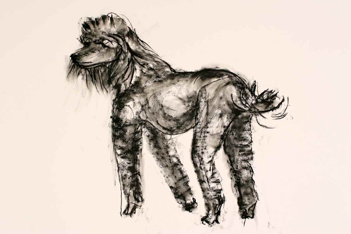 Central Park Dog by Tom Goldenberg Studio LLC 