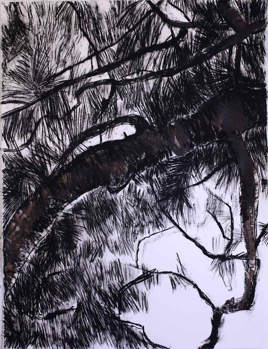 Black Fir by Tom Goldenberg Studio LLC 