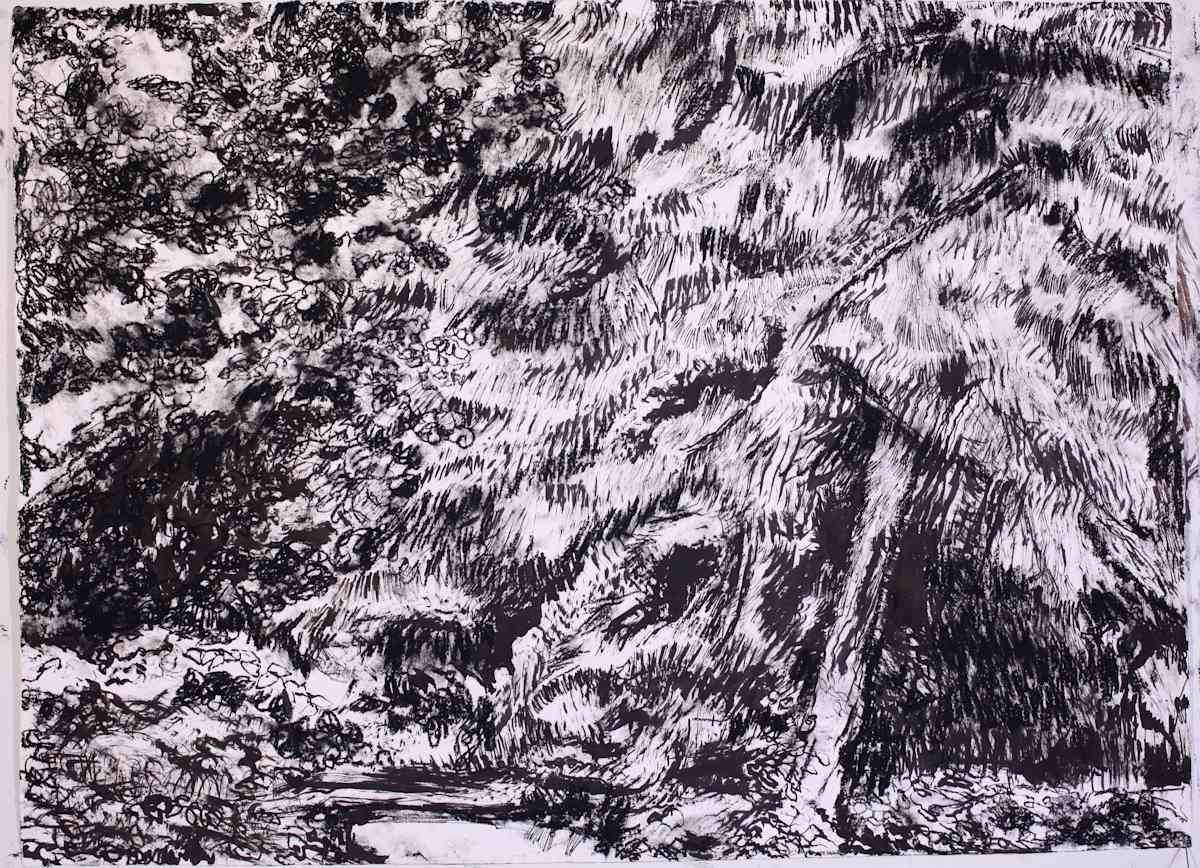 Pines Black by Tom Goldenberg Studio LLC 