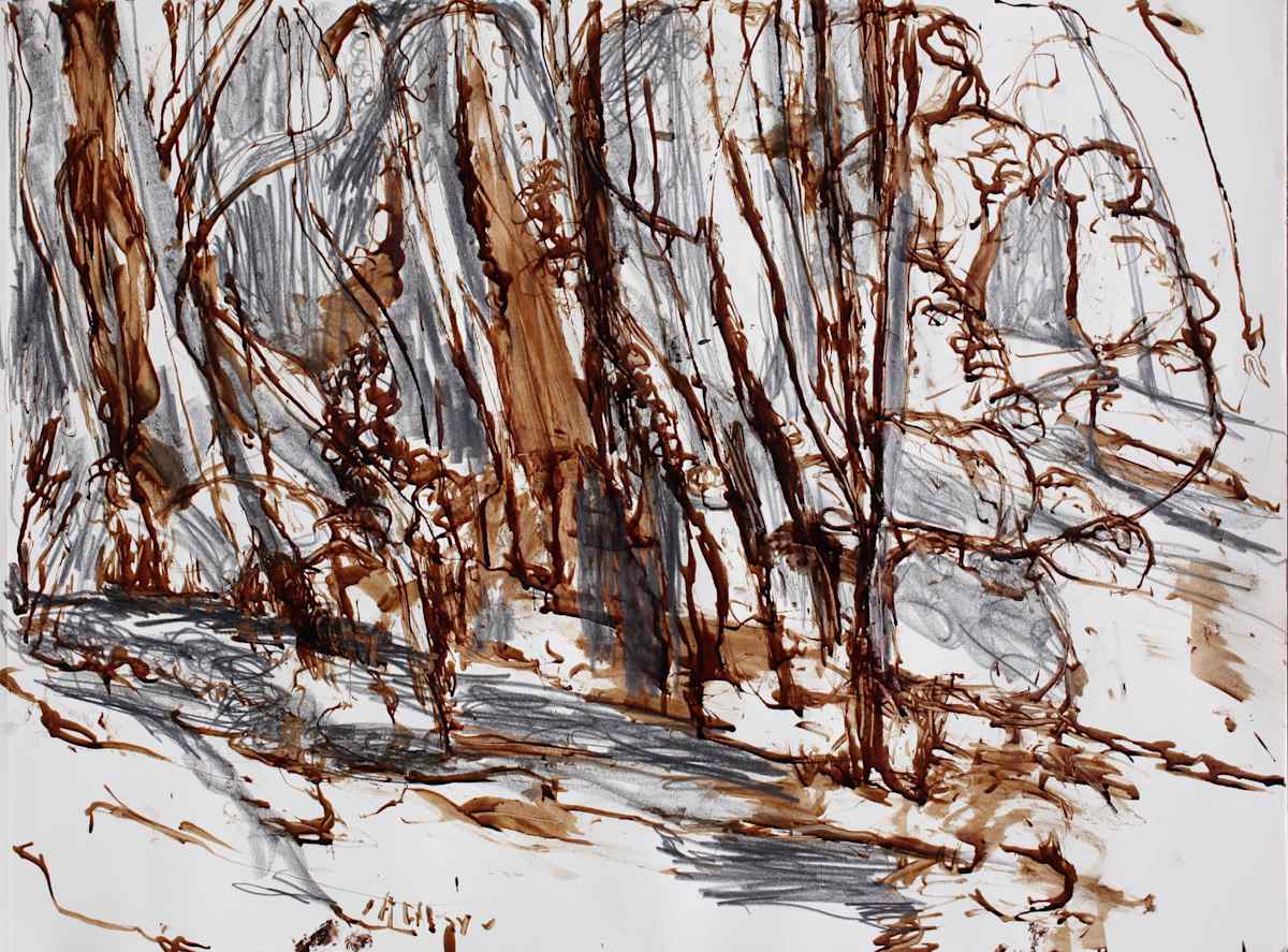 Back Woods II by Tom Goldenberg Studio LLC 