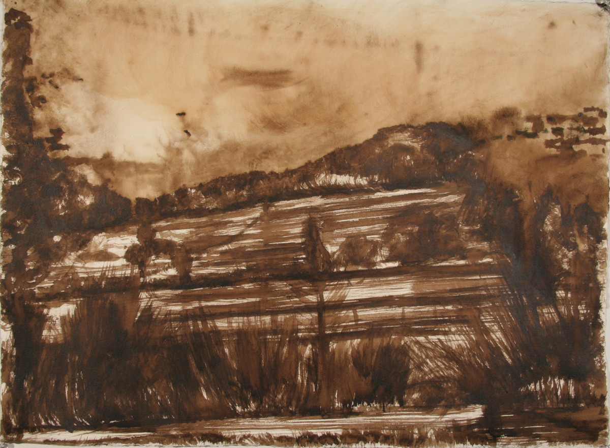 Walnut Study by Tom Goldenberg Studio LLC 