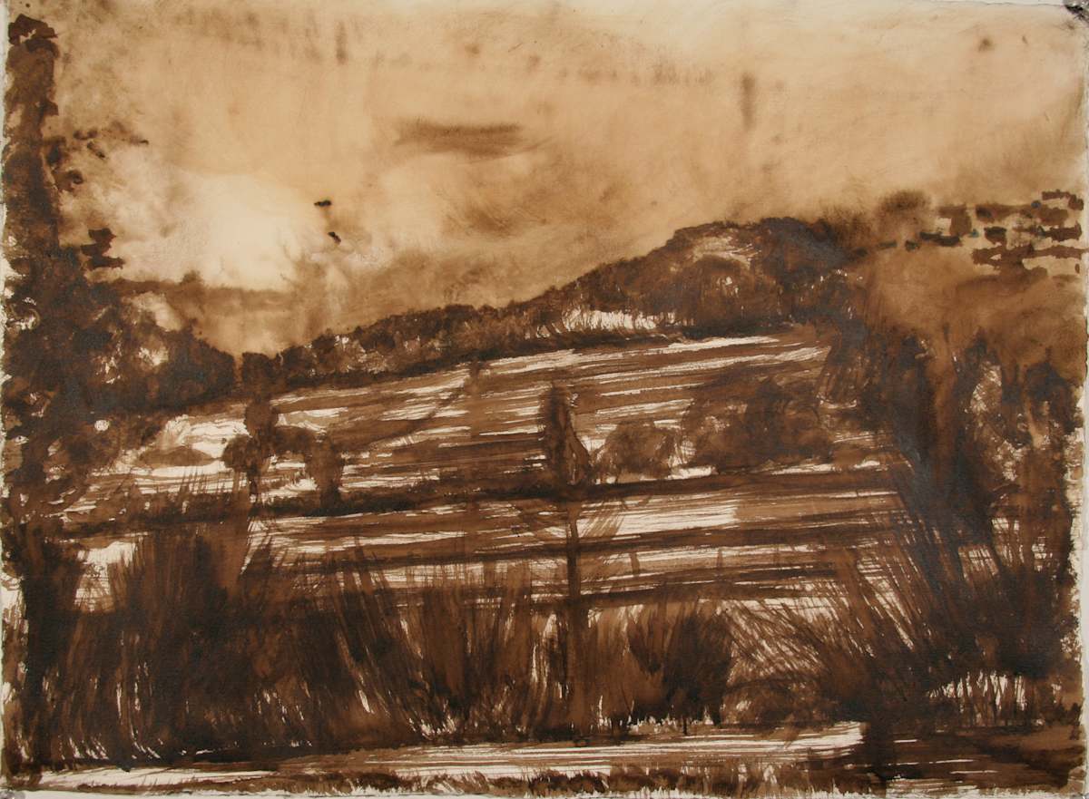 Walnut Study by Tom Goldenberg Studio LLC, Image 1.