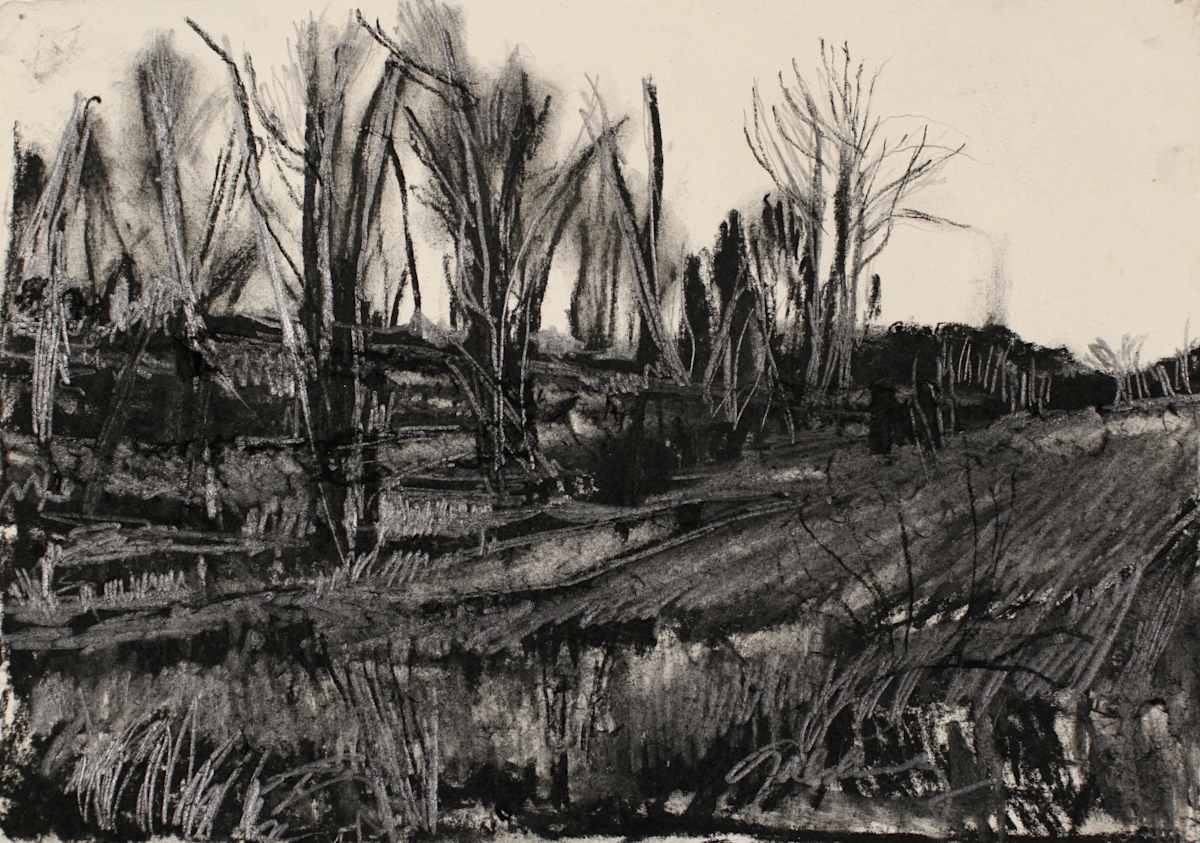 Graphite Field by Tom Goldenberg Studio LLC, Image 1.