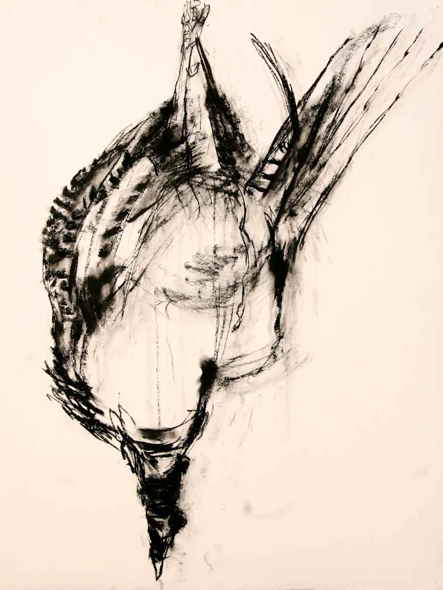 Pheasant 1 by Tom Goldenberg Studio LLC 