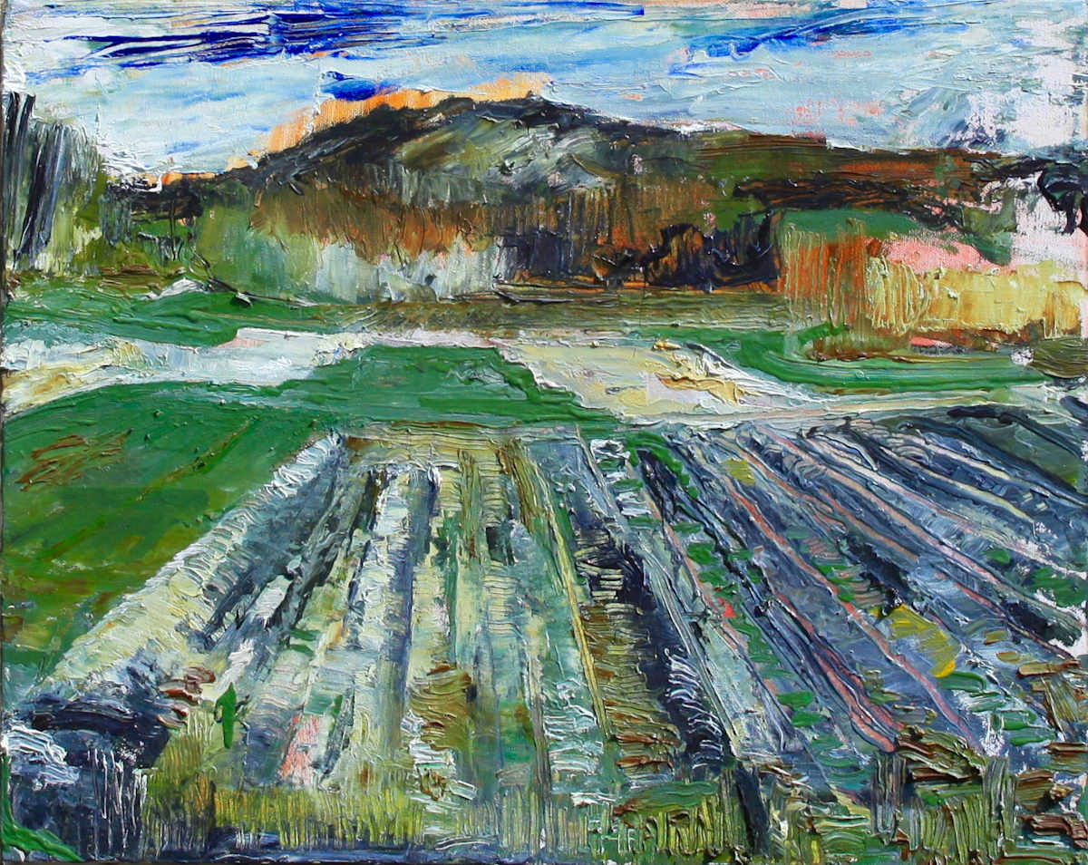 Coleman Field 1 by Tom Goldenberg Studio LLC, Image 1.