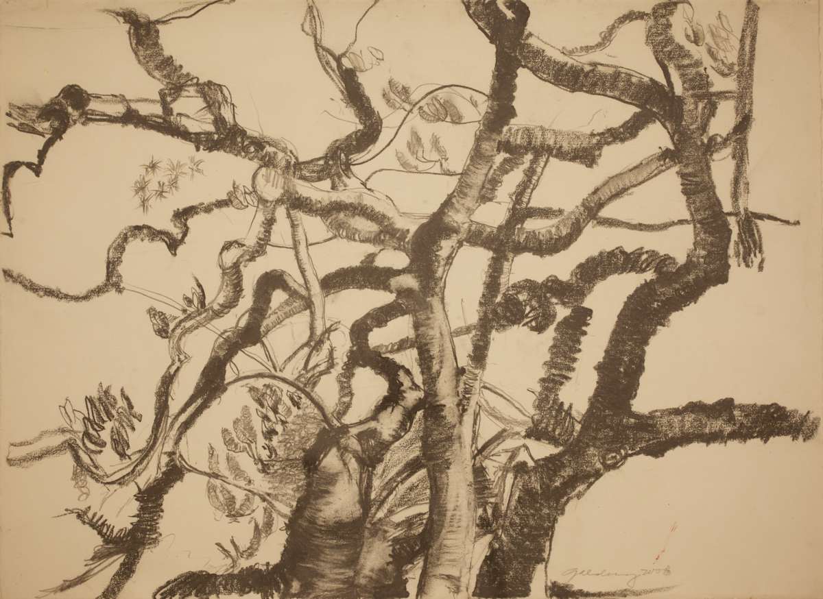 Tree Central Park by Tom Goldenberg Studio LLC 