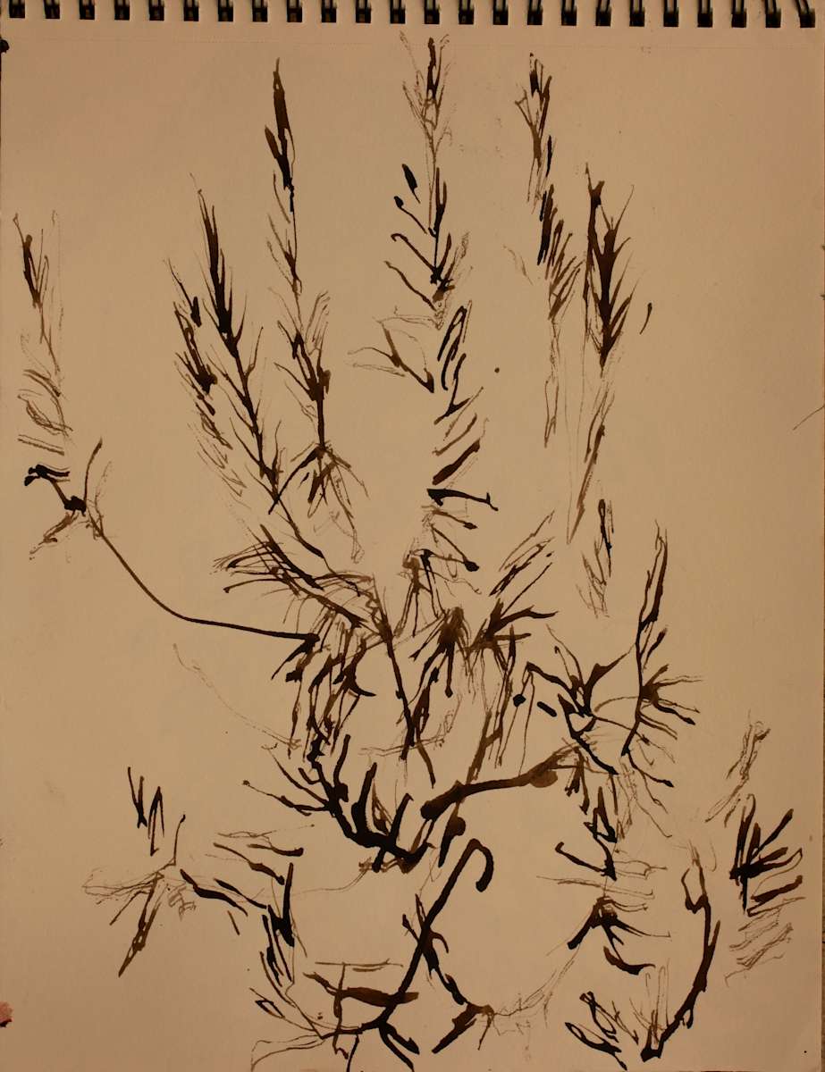 2DB-2015 6 by Tom Goldenberg Studio LLC, Image 1.