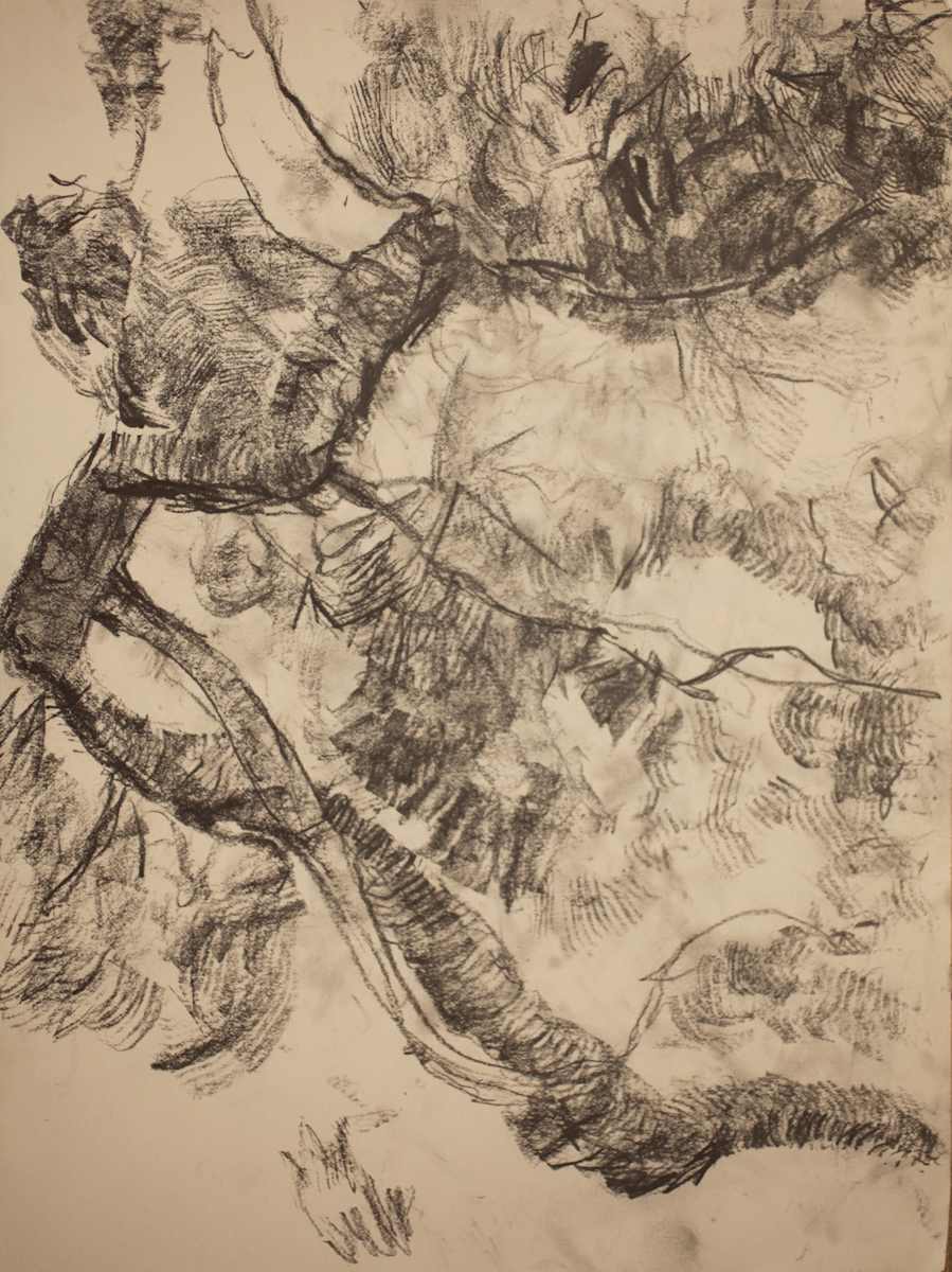 5DB-2013 19 by Tom Goldenberg Studio LLC 