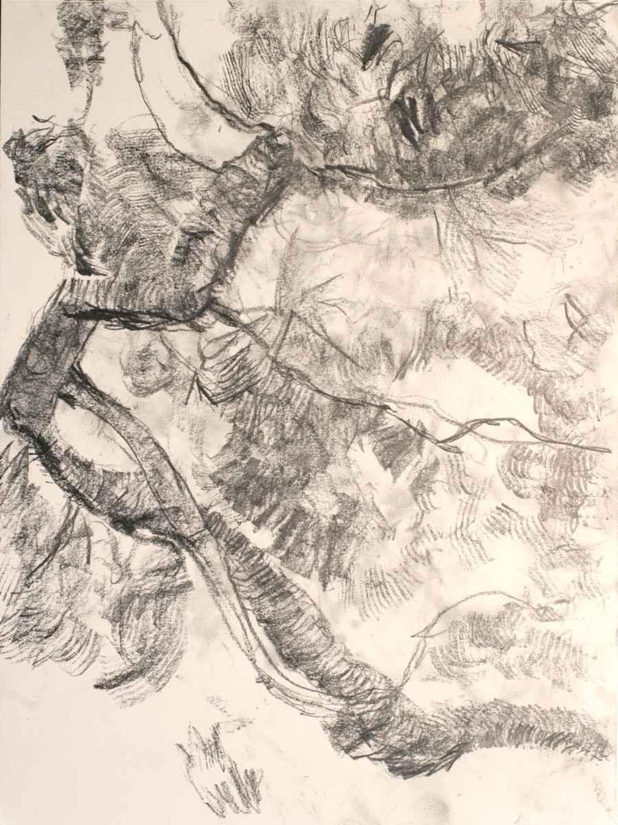 Branch by Tom Goldenberg Studio LLC, Image 1.