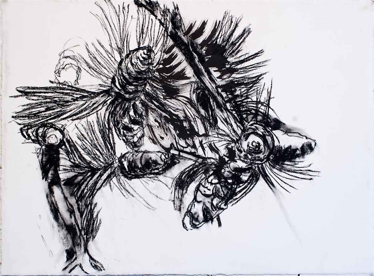 Pine Cone by Tom Goldenberg Studio LLC, Image 1.