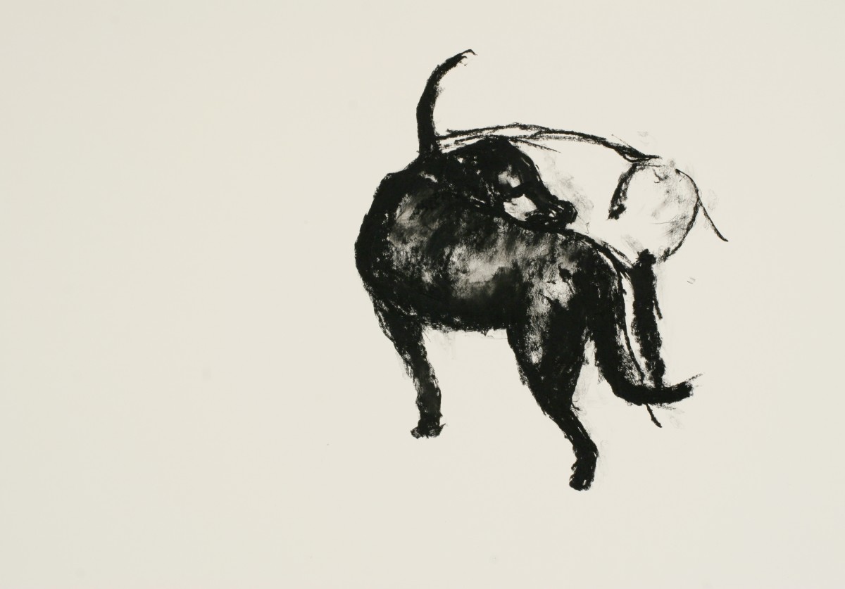 Park Dogs by Tom Goldenberg Studio LLC 