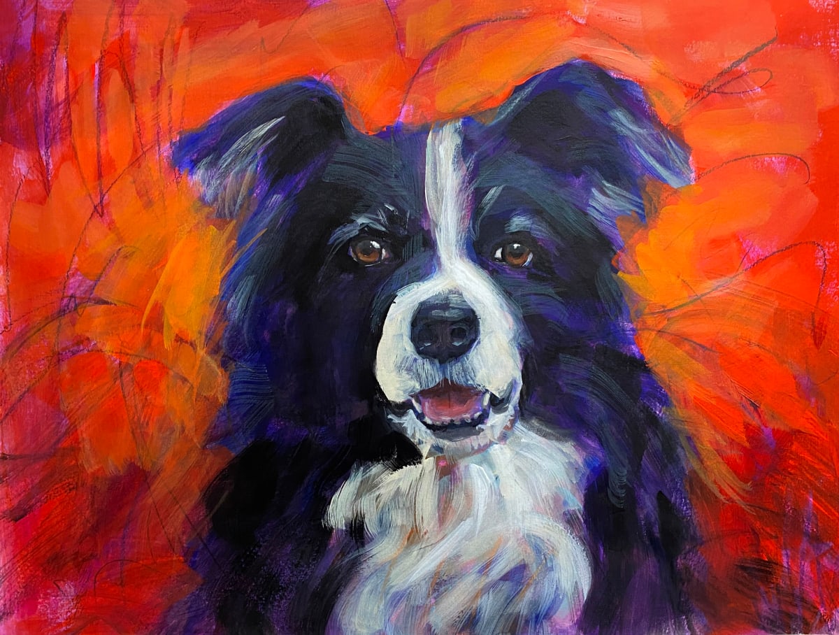 Sheep Dog, Image 1.