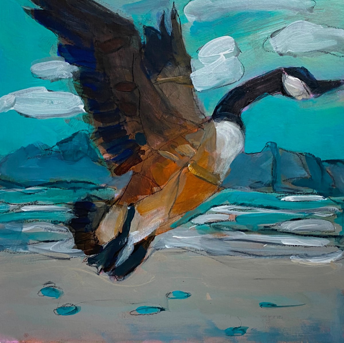 Canadian Goose by Connie Geerts 