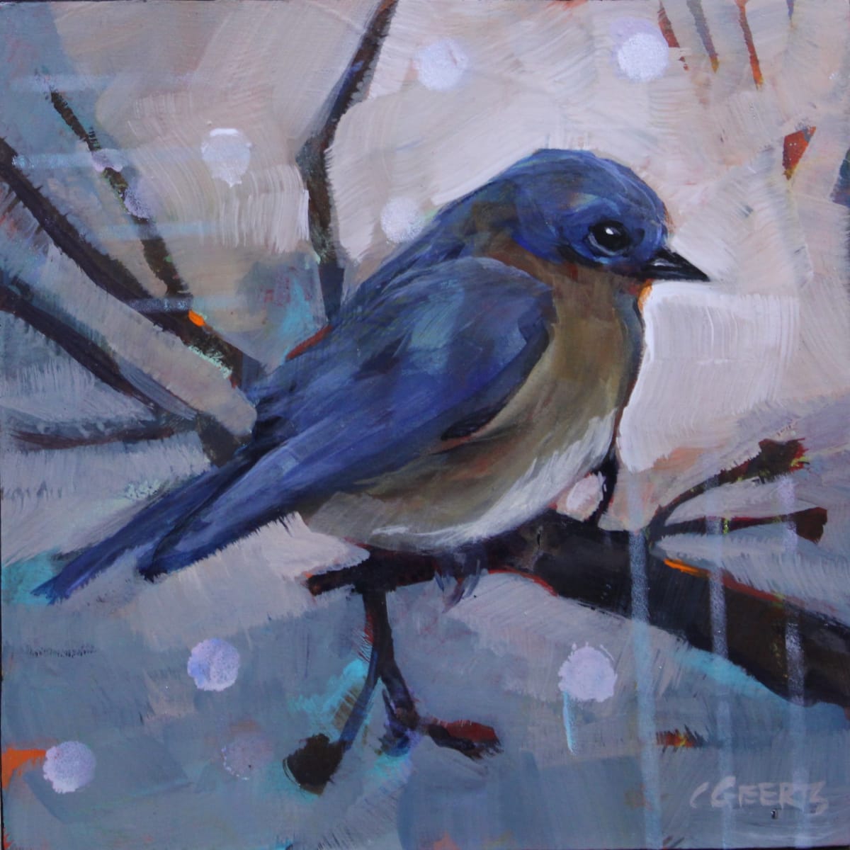 Chilly Bluebird by Connie Geerts 