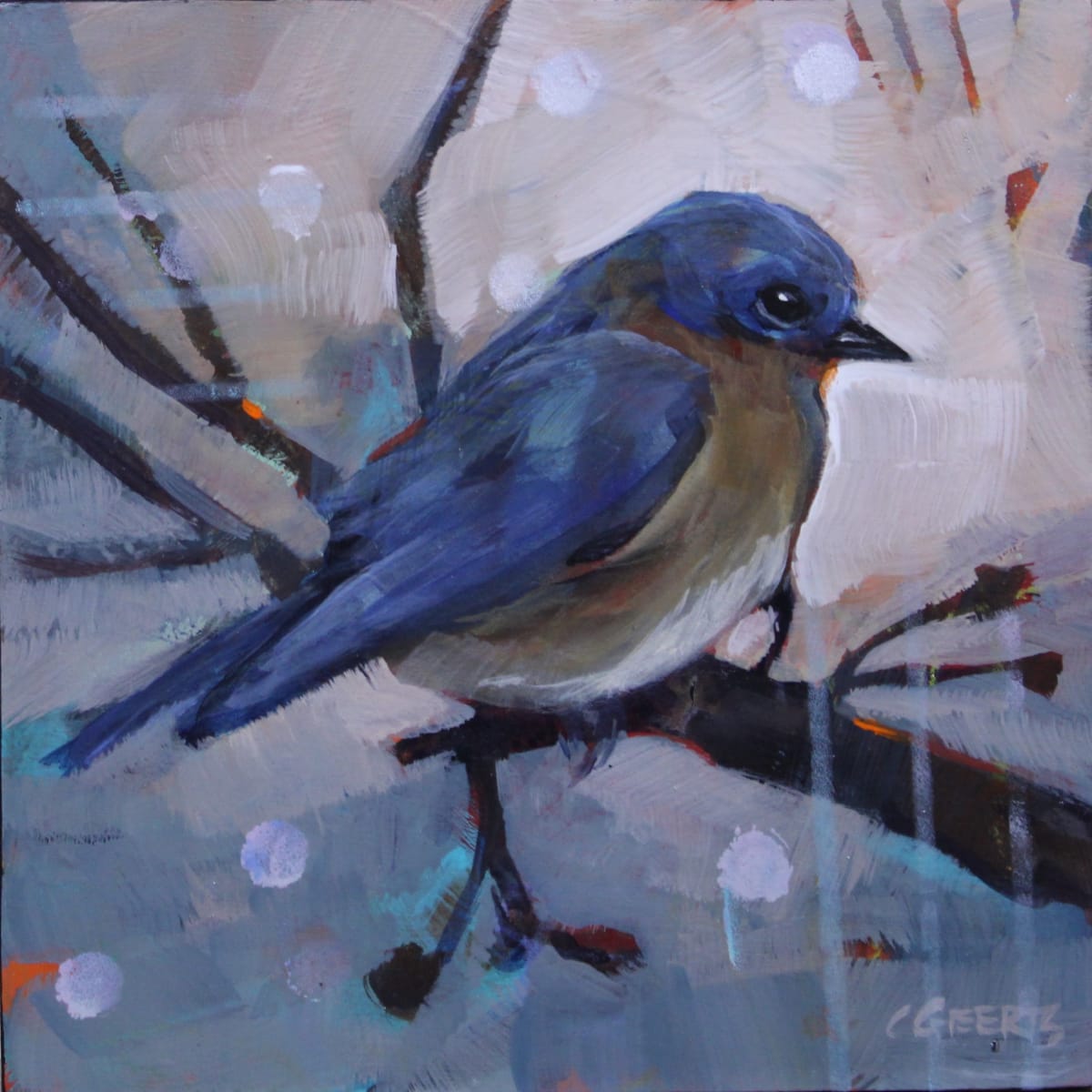 Chilly Bluebird by Connie Geerts, Image 2.