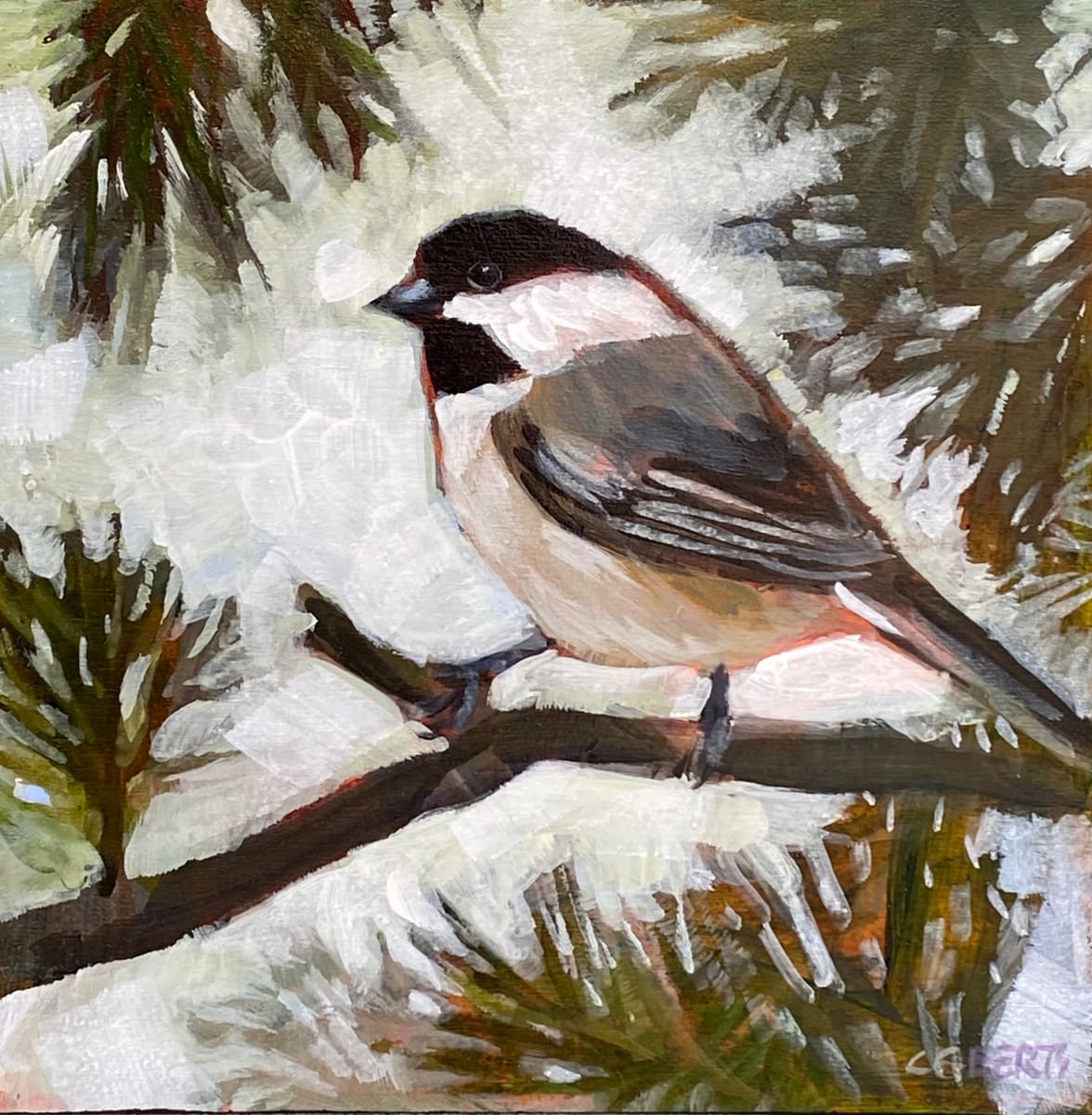 Chickadee in the Spruce 