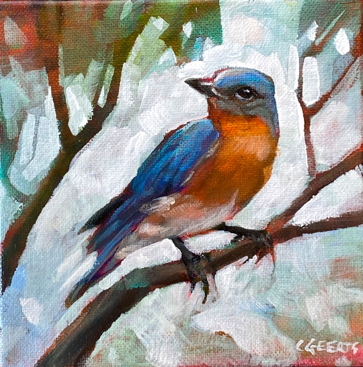 Bluebird, Image 1.