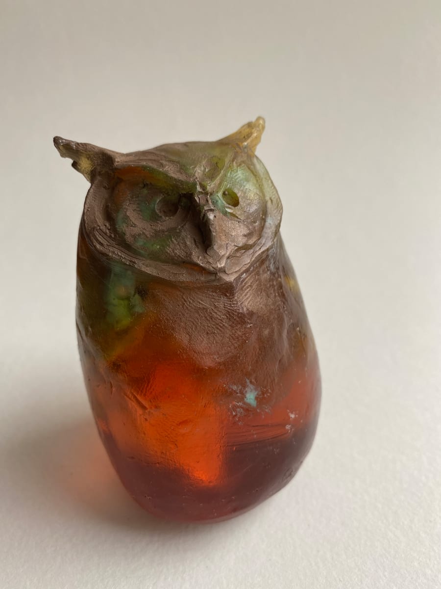Brown Owl, Image 1.