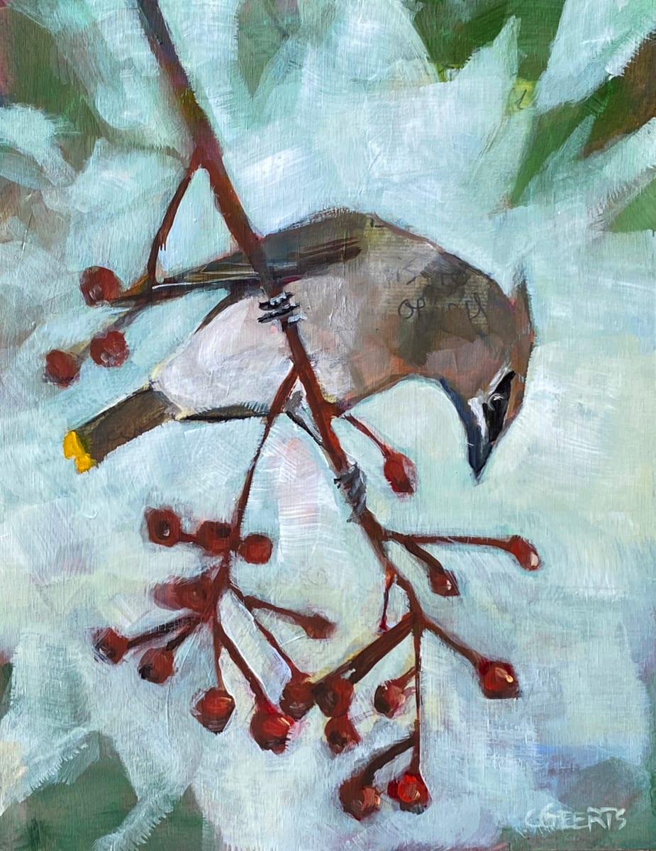 Cedar Waxwing with Berries, Image 1.