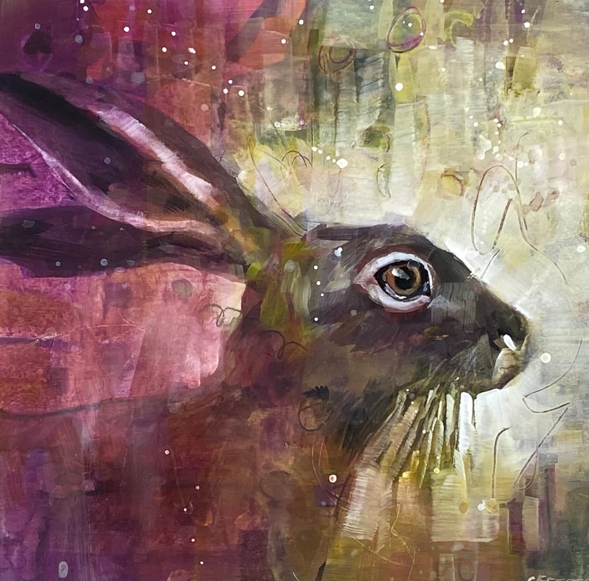 Hare in the Gloaming by Connie Geerts 