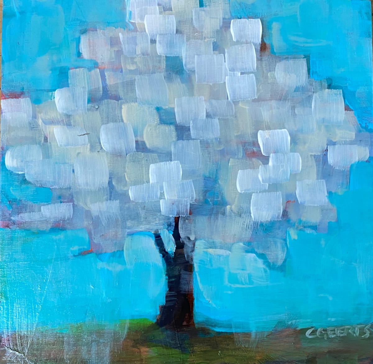 Apple Blossoms by Connie Geerts 