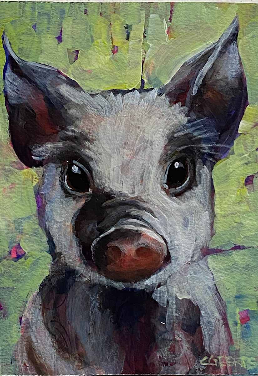 Stanley by Connie Geerts 