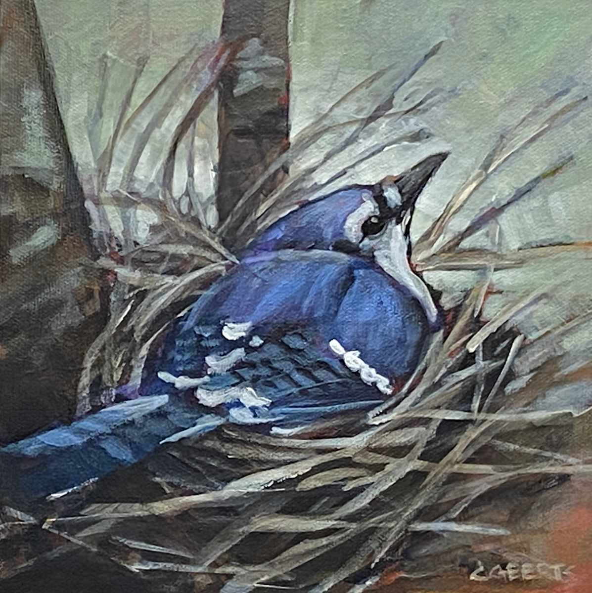 Jay's Nest by Connie Geerts, Image 1.
