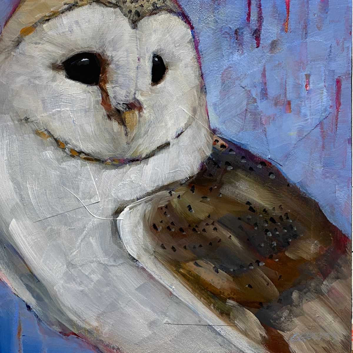 Barn Owl by Connie Geerts 