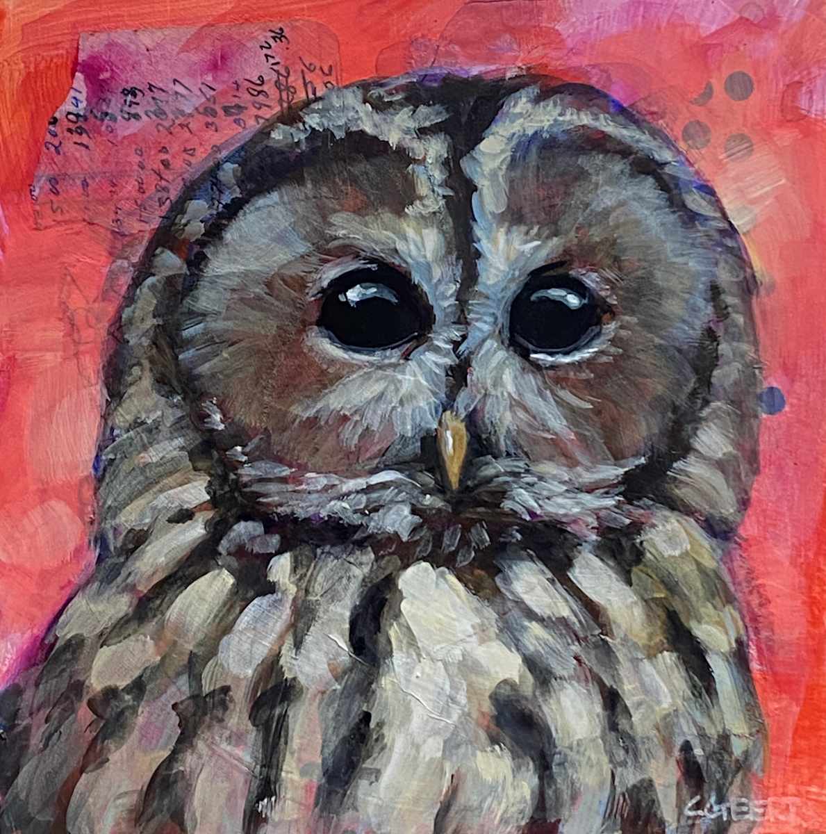 Tawny Owl by Connie Geerts 