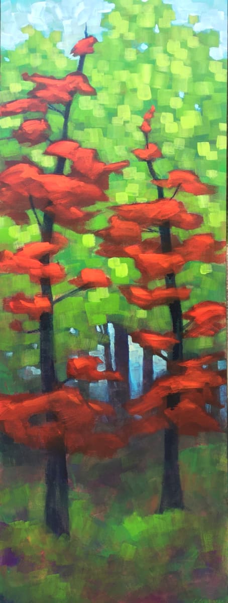 Red Spruce by Connie Geerts 