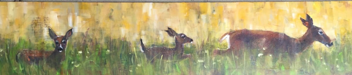 Edge of the Canola Field 