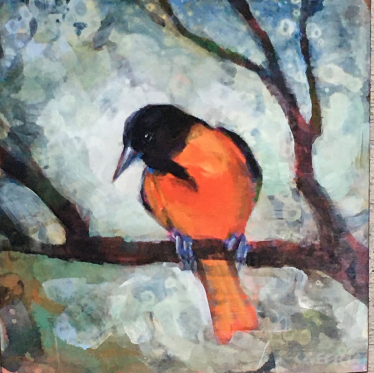 Rare Sighting by Connie Geerts, Image 1.