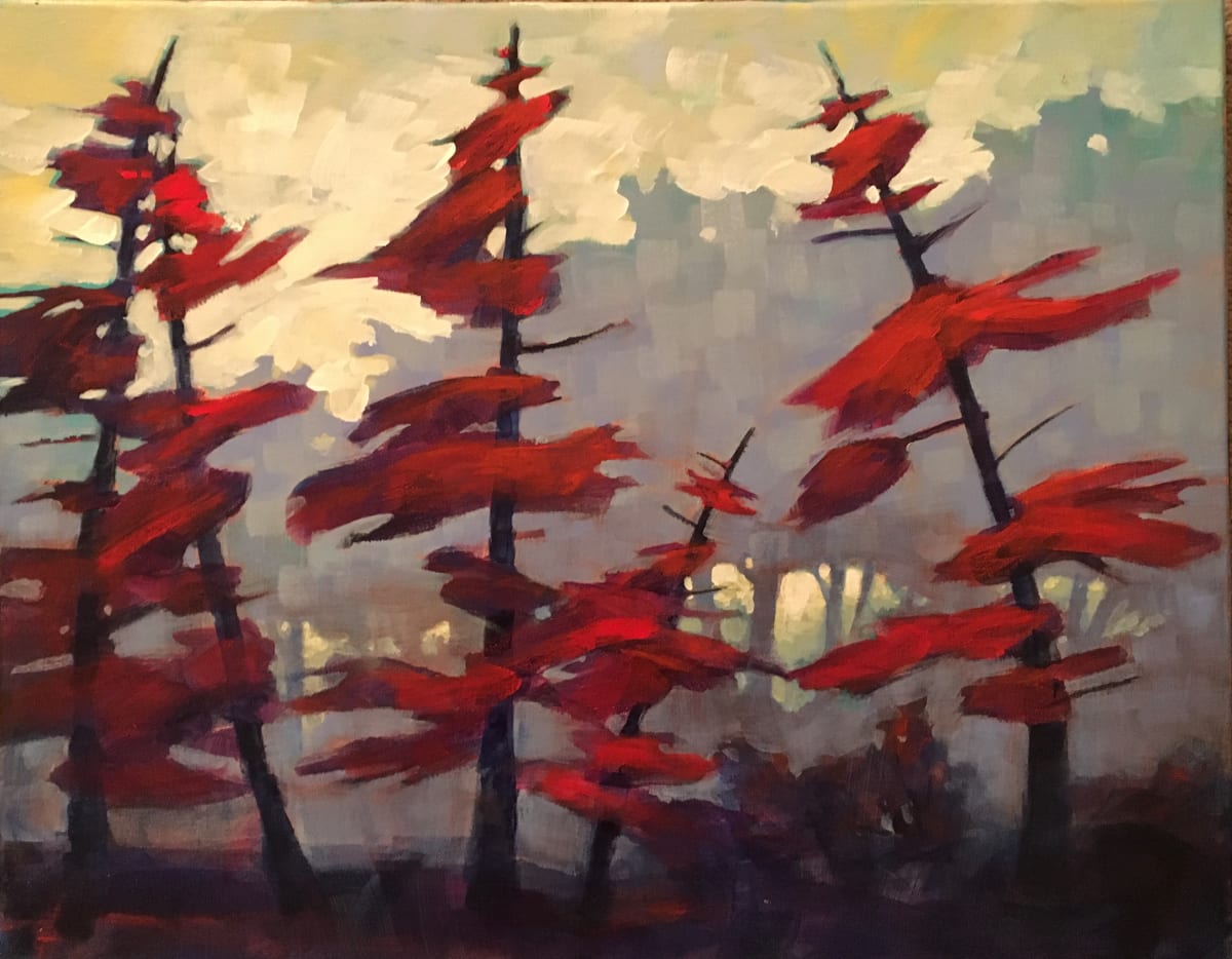 Spruce in the Wind by Connie Geerts, Image 1.
