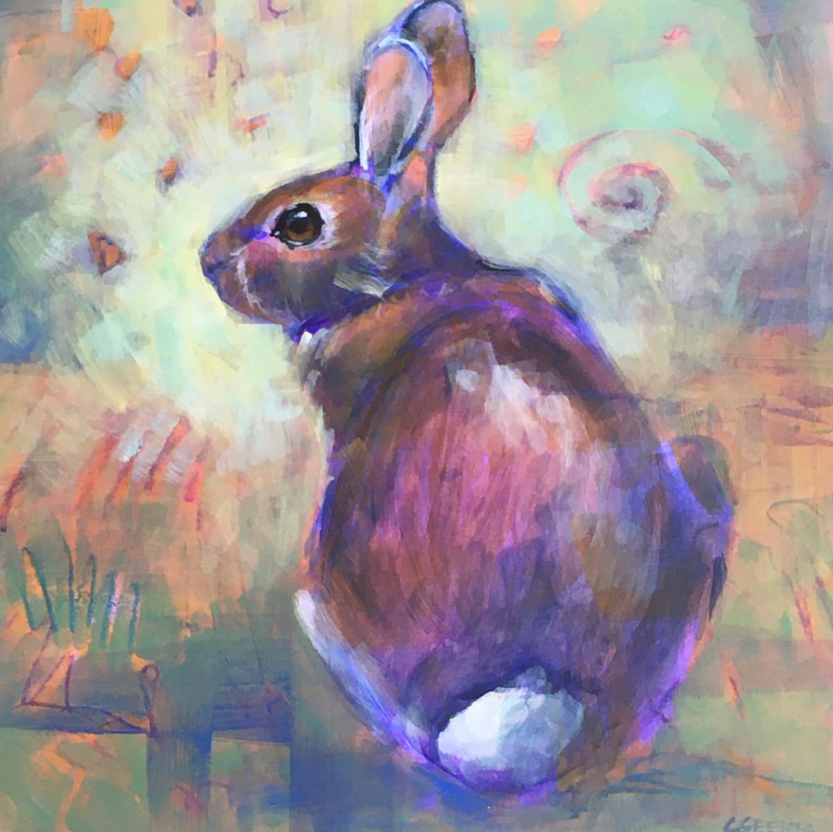 Cotton Tail, Image 1.