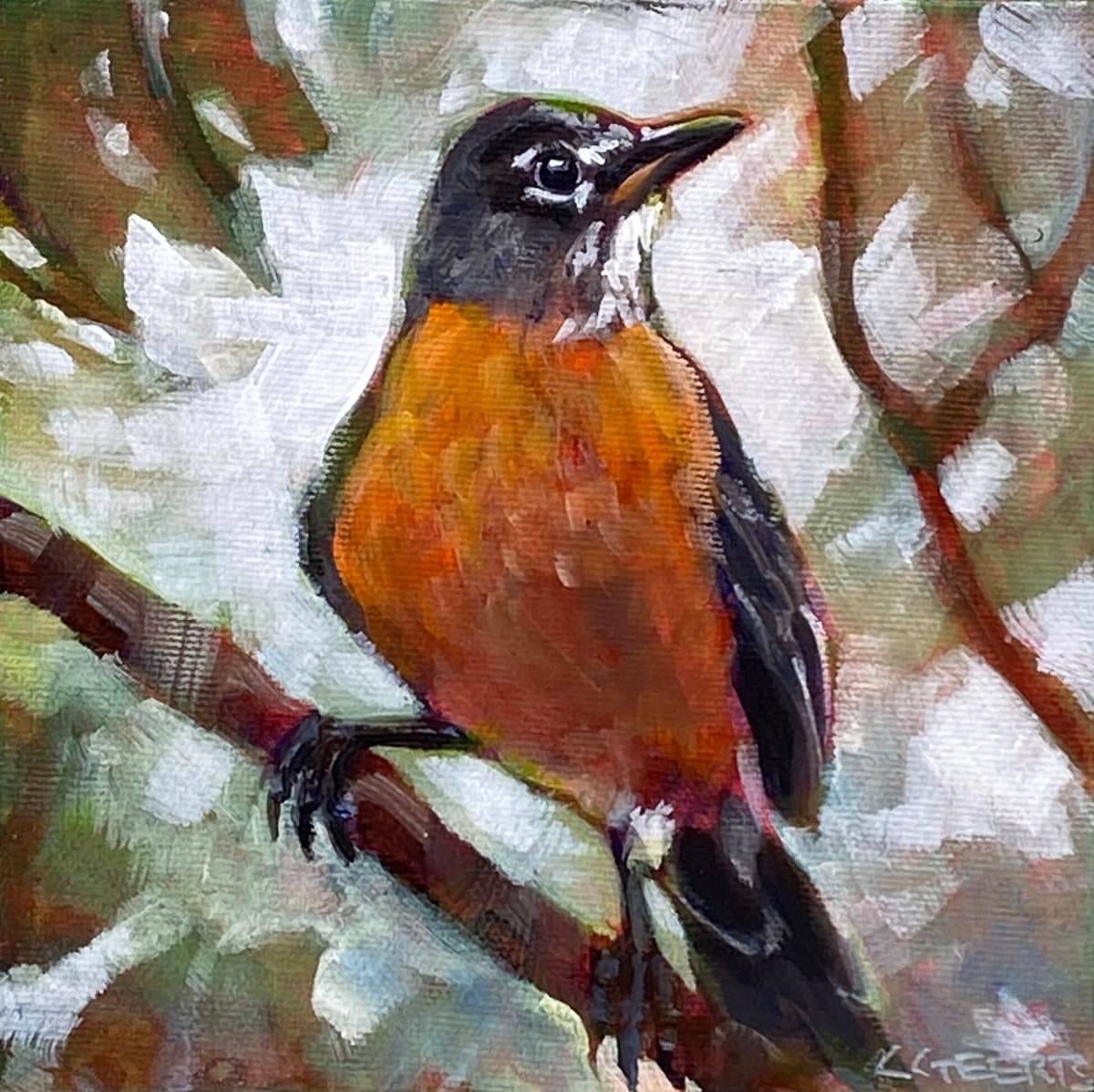 Robin, Image 1.