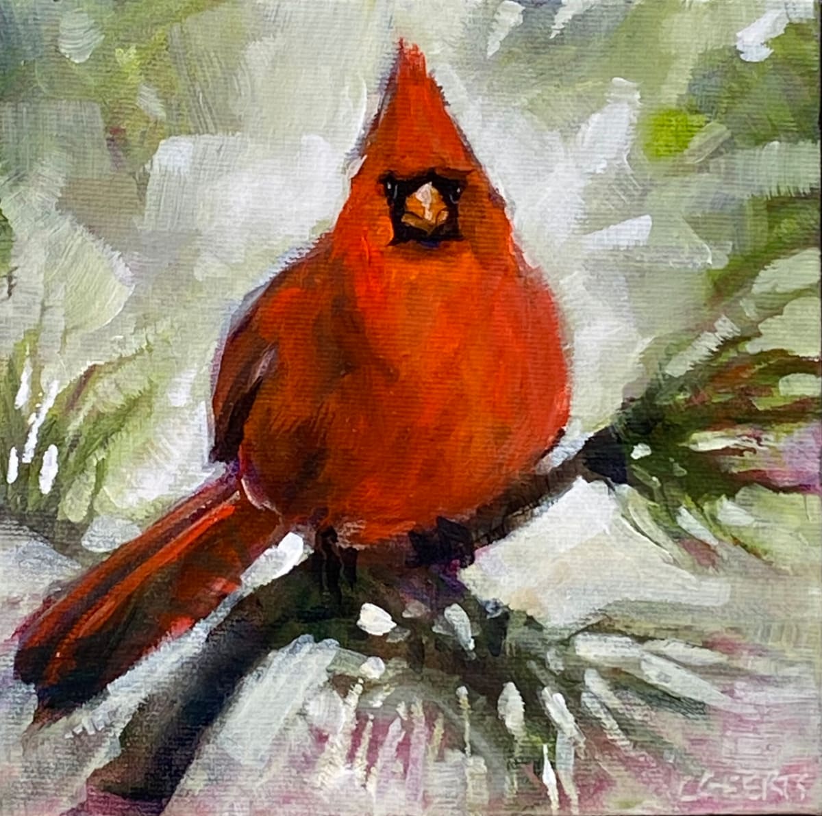 Cardinal 