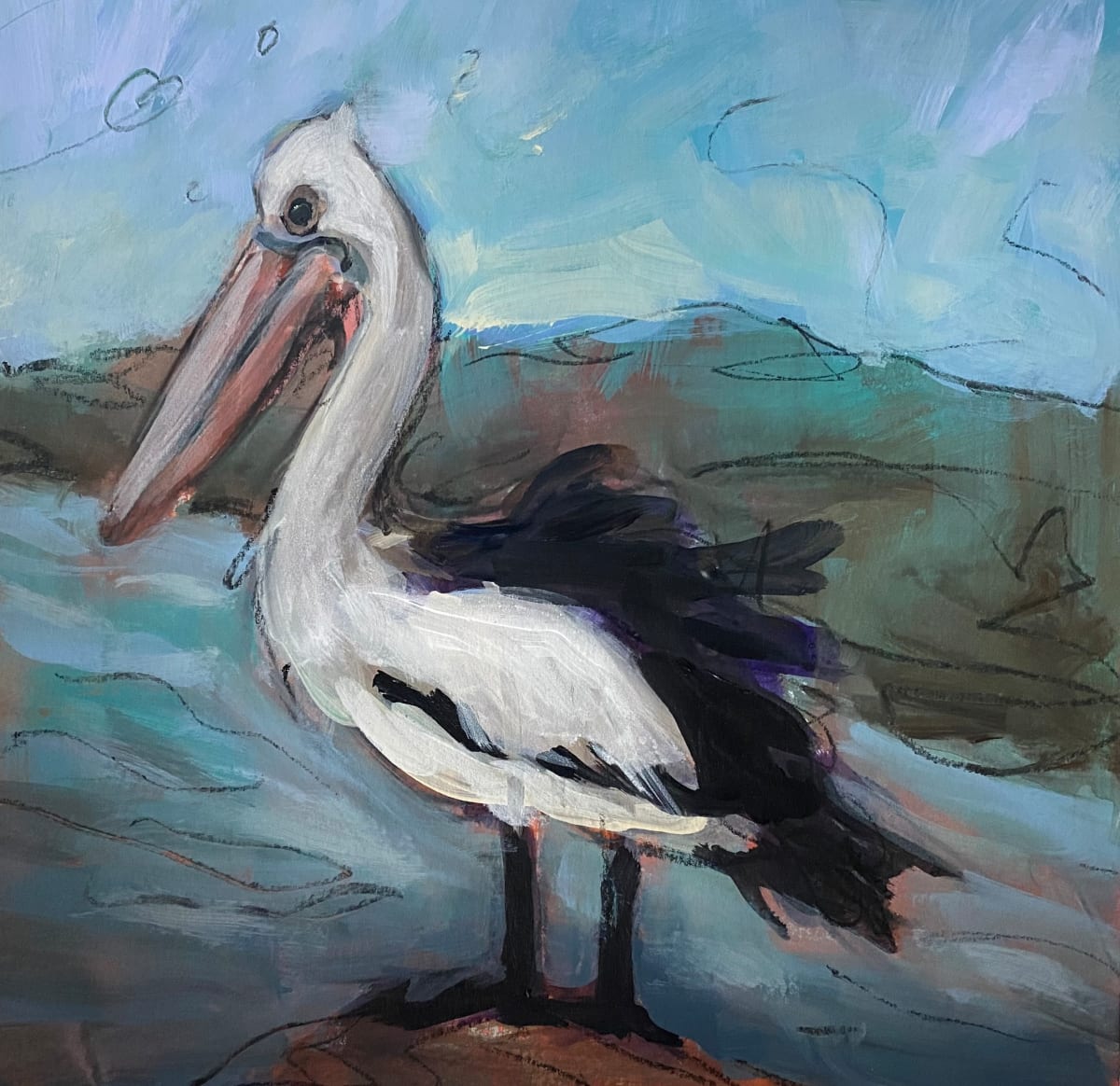 Pelican, Image 1.