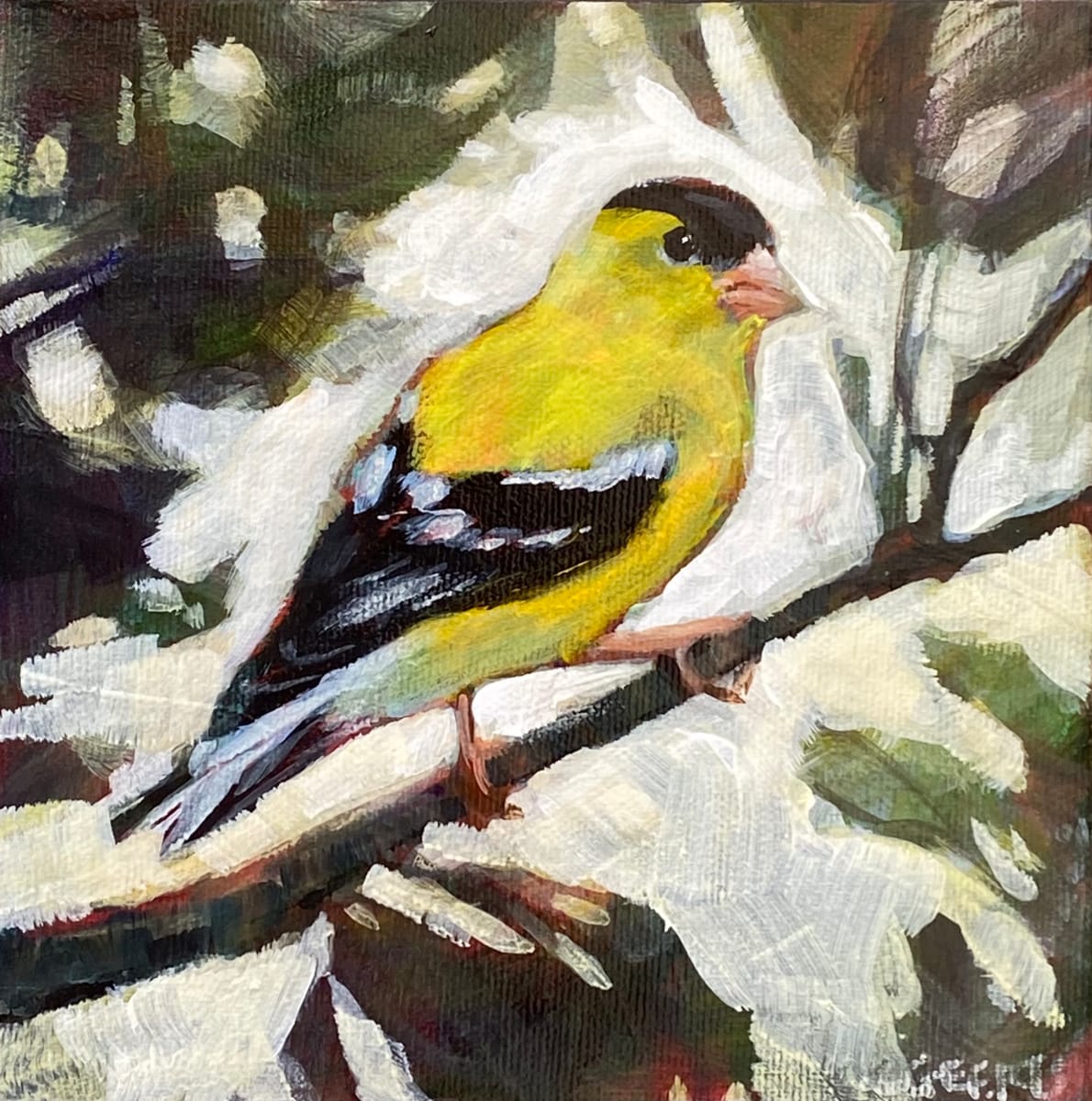 Goldfinch II 